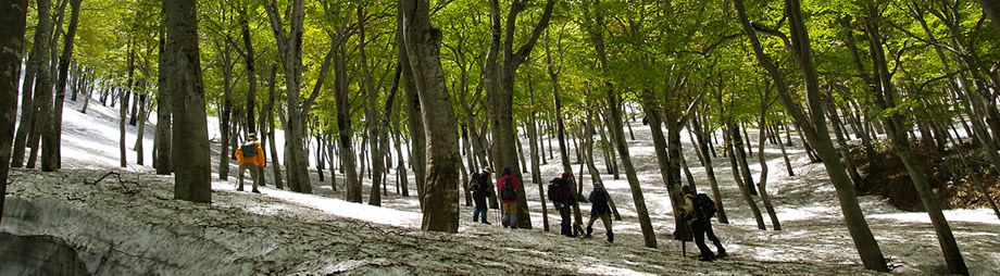 Nabekura plateau Mori no Ie